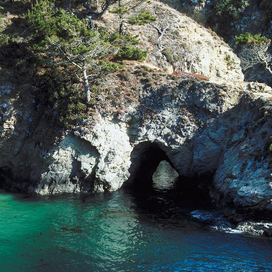 Point Lobos State Natural Reserve is one of many California snorkeling locations.