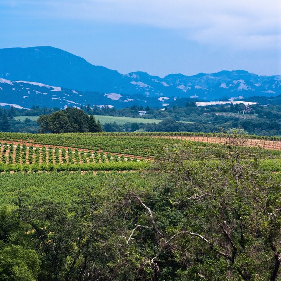 Sonoma County offers breathtaking natural beauty and a romantic ambiance.