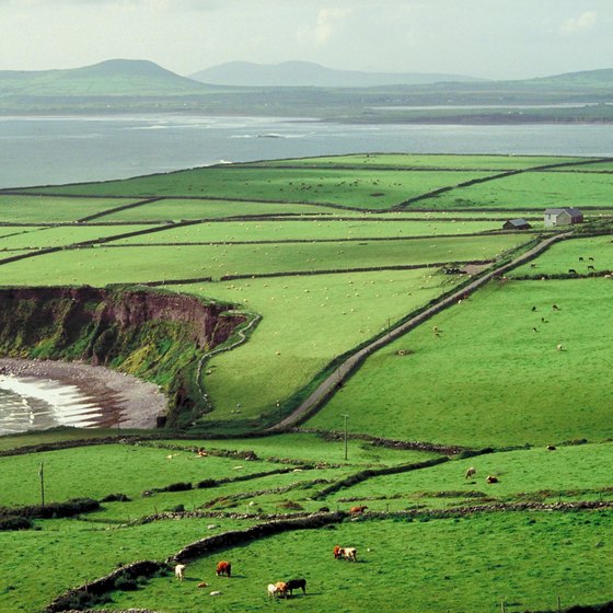 Ireland's countryside comes in various shades of green.