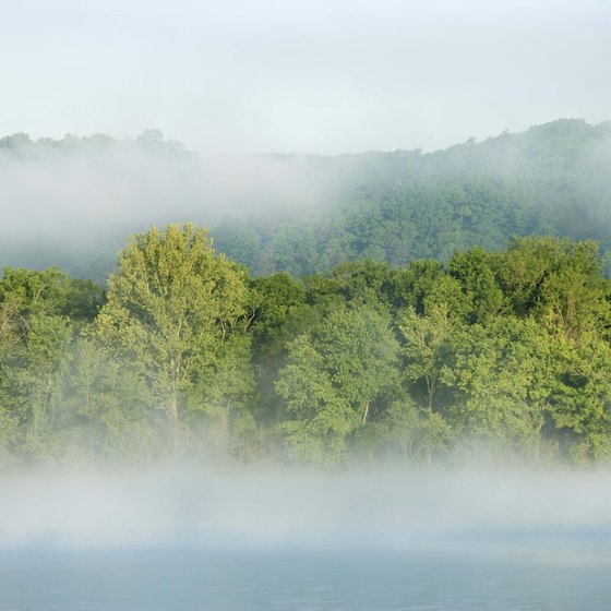 Mist rises from the Tennessee River.