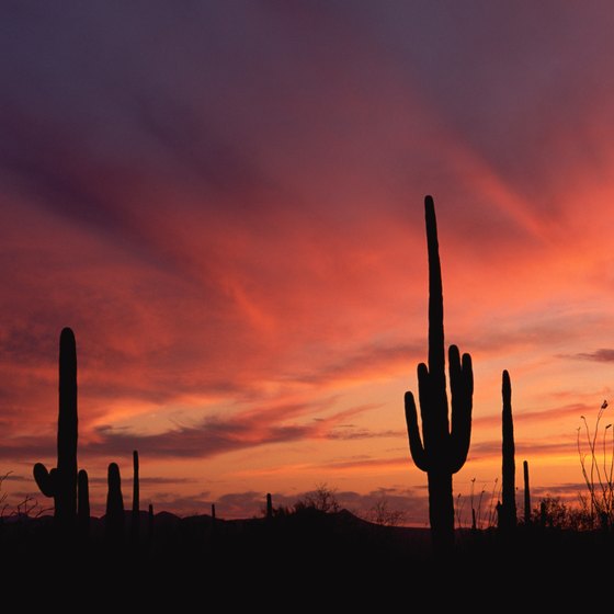 Estrella Mountain Ranch lies in the desert southwest of Phoenix.