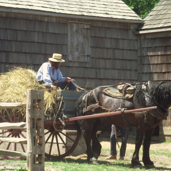 Many tours of Amish Country include a trip to a working farm.