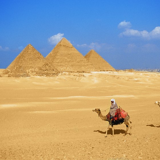 Camel Rides to the Egyptian Pyramids