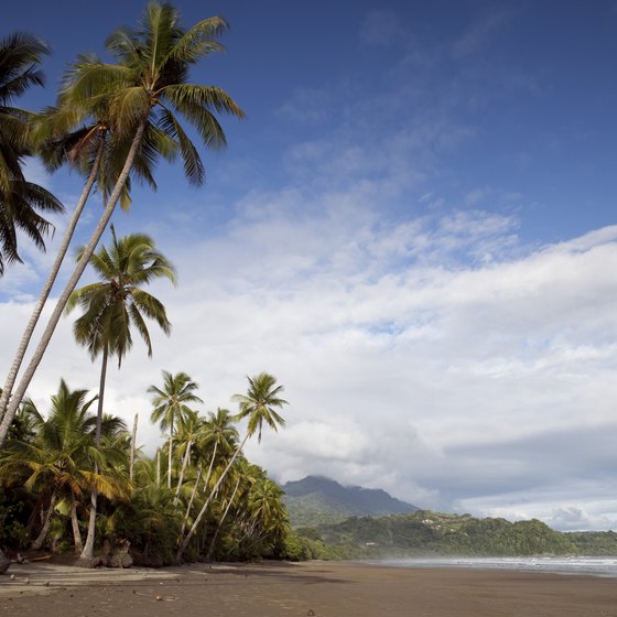Enjoy the beach along the Costa Rica coastline.