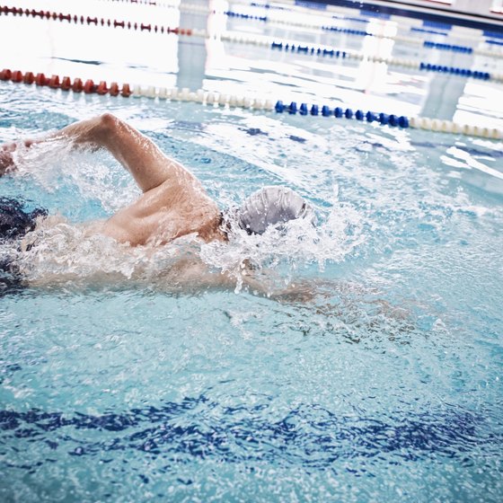 Indoor swimmers get in the water despite cold Scottish seas.