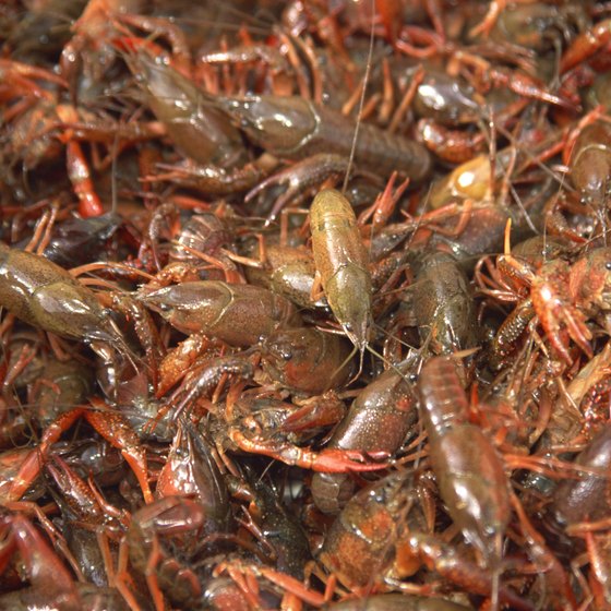Crawfish is a Louisiana staple.