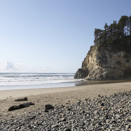 Cannon Beach and Astoria were featured in movies such as "The Goonies" and "Kindergarten Cop."