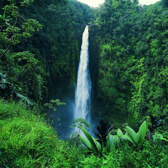 Akaka Falls is among the best known waterfalls on the Big Island of Hawaii.