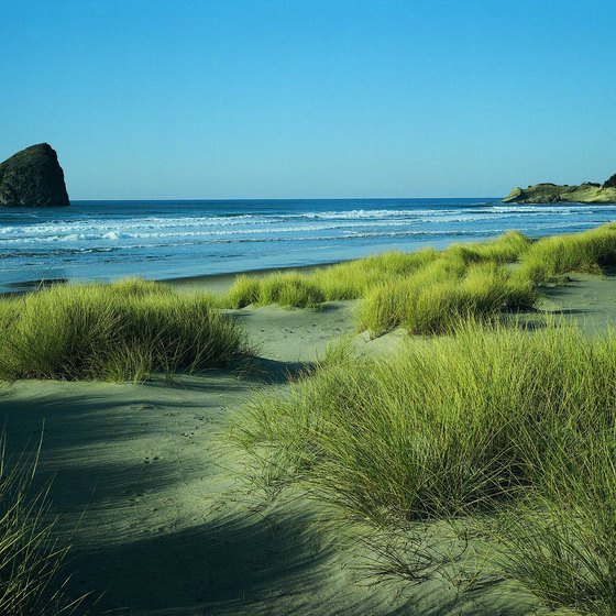 There are a variety of RV parks located near the Oregon Dunes.