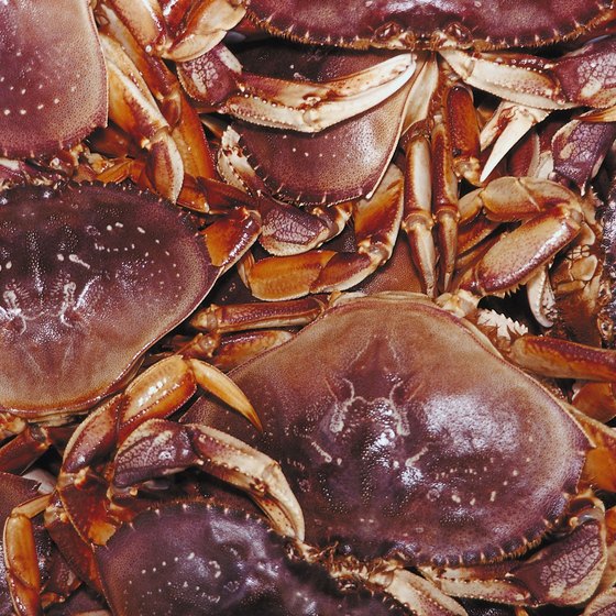Crab and other seafood delicacies are plentiful at the Dungeness Crab and Seafood Festival.