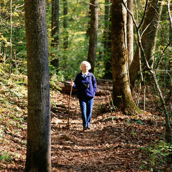 Hiking through unspoiled natural resources is a fine way to both exercise and relax.