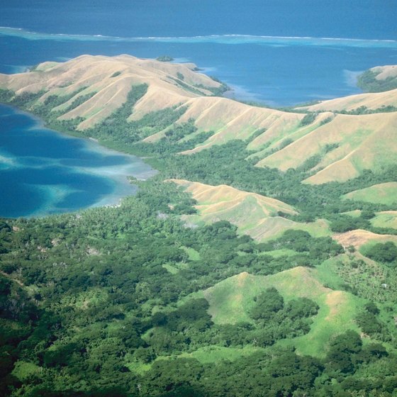The interior of the major Fijian islands is densely forested, with many species of plants and animals.