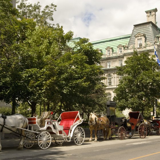 Montreal's city center has a very old world feel.