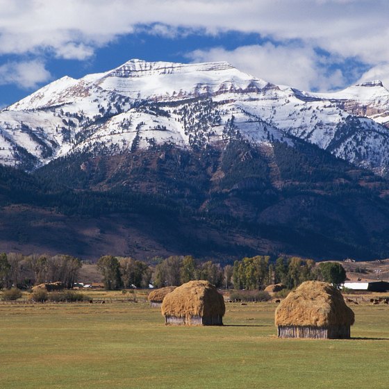 pet-friendly-motels-in-jackson-hole-wyoming-usa-today