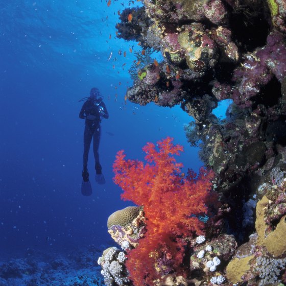 Grand Cayman's warm, clear waters makes it an ideal spot to scuba dive.