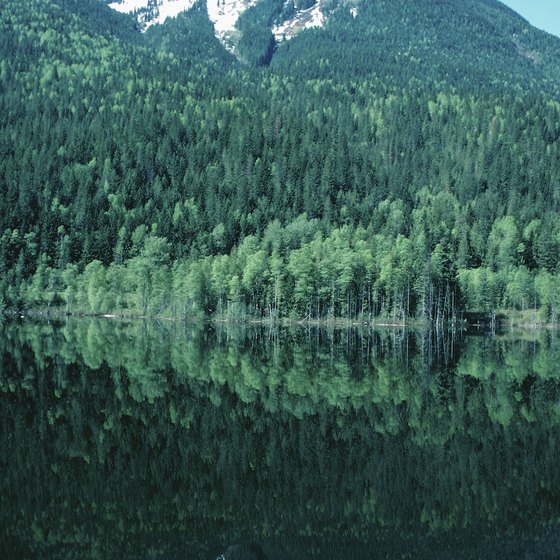 Mara Lake is near Shuswap Lake in the Okanagan Valley.