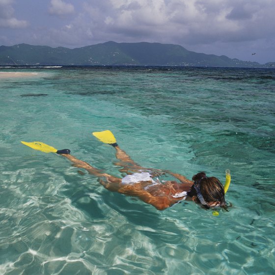 Protected reefs, oyster beds and sea grass provide habitat for tropical fish just off the coast of idyllic Sandy Island.