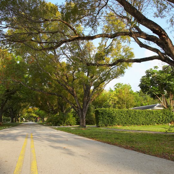 Florida offers a mind-boggling array of choices for short road trips.