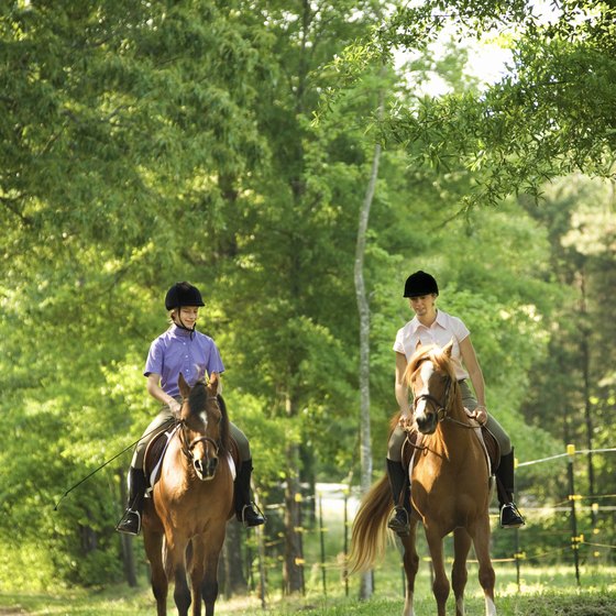 The Bastrop, Texas area features many horseback riding trails and facilities.