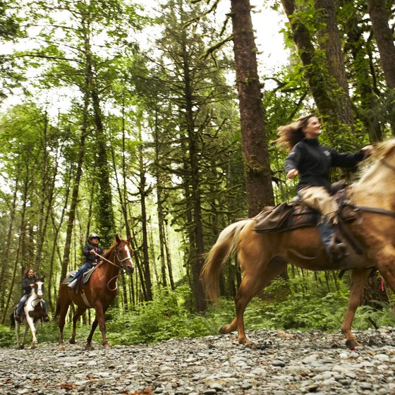 Trail riding in Maine is scenic and peaceful.