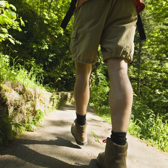 Visitors to Eugene will find hiking trails nearby.