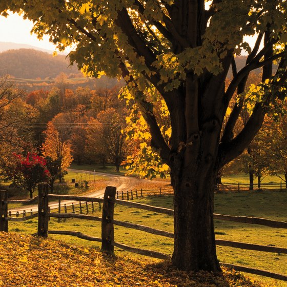 The fall foliage is spectacular in Woodstock, Vermont.