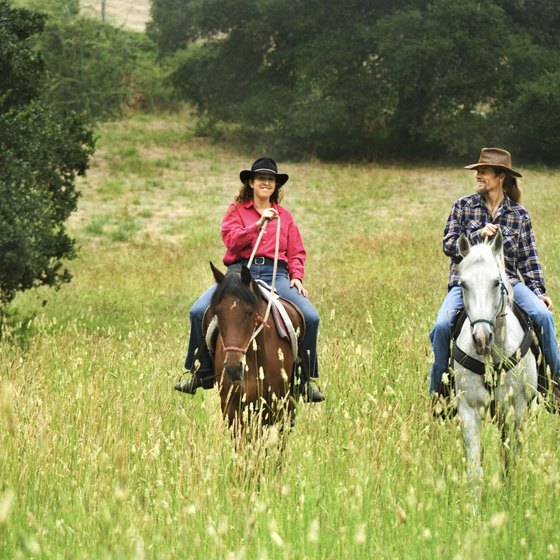Learn to horseback ride together in Middletown.