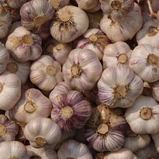 Gilroy, California dubs itself "The Garlic Capital of the World."