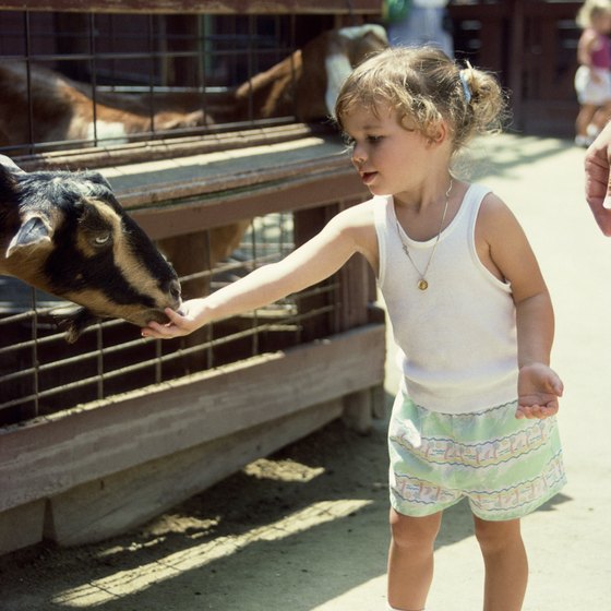 Petting zoos are geared primarily for children.