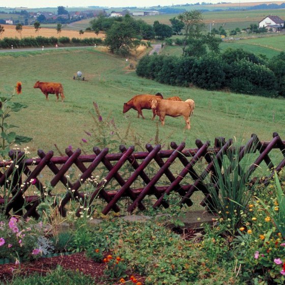 Southern Luxembourg features fertile countryside and plentiful pastures.