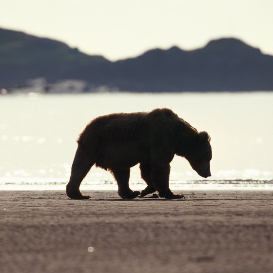With some planning, you can visit Alaska on virtually any budget