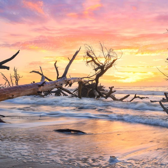 Attractions & Things to Do: Edisto Beach, South Carolina