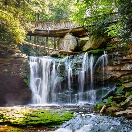 The Best Campsites In Blackwater Falls State Park West Virginia Usa Today 0094