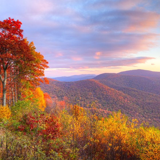 The Closest Shenandoah Hiking Trails to D.C.