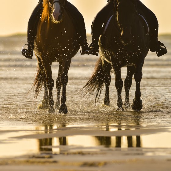 Horseback Riding on Cape Cod Beaches