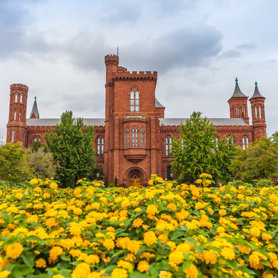 How Much Time Does It Take to Go Through the Smithsonian
