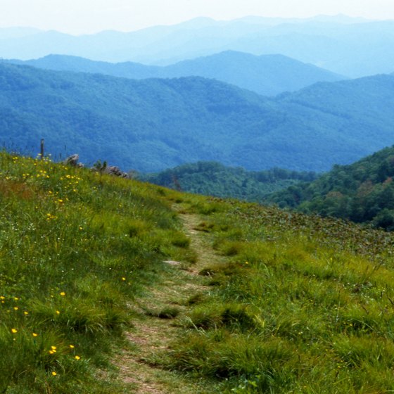 Good Places to Hike on the Appalachian Trail in North Carolina