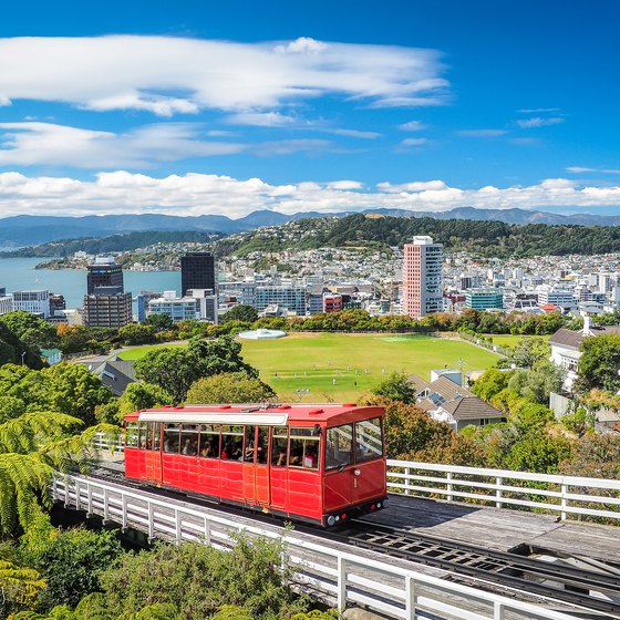 All-Inclusive Tours to New Zealand