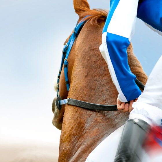 The Traveler's Guide to the Belmont Stakes