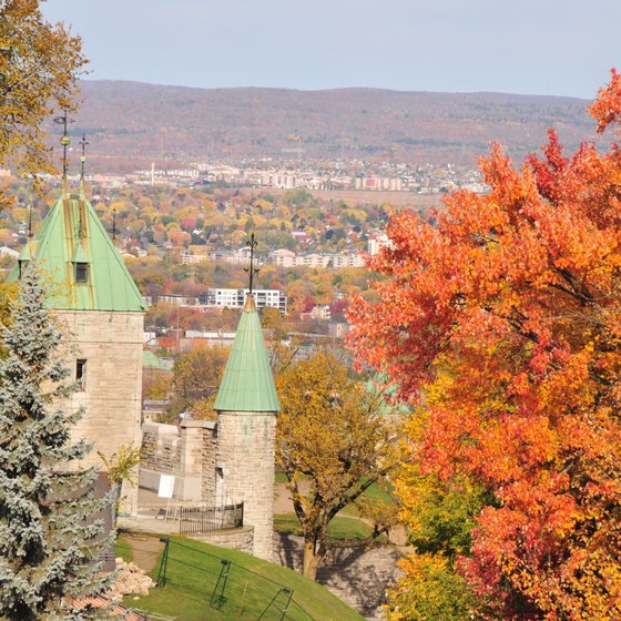 Quebec City Fall Leaf Tours