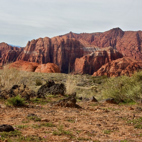 Easy ATV Trails Near St. George, Utah