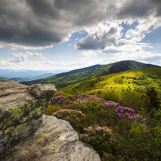 Physical Characteristics of the Appalachian Mountains