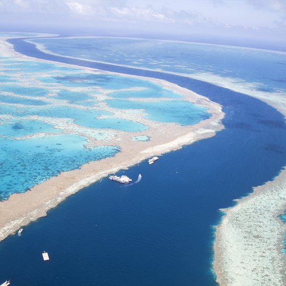 Top Ten Largest Coral Reefs
