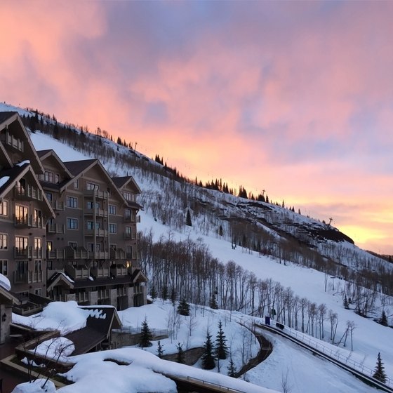 How Do Ski Resorts Affect the Environment