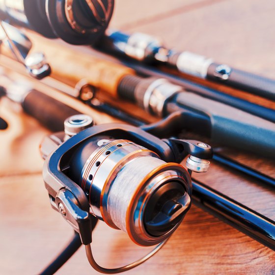 Hunting & Fishing Regulations in Tennessee