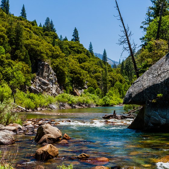 Camping at Kings Canyon