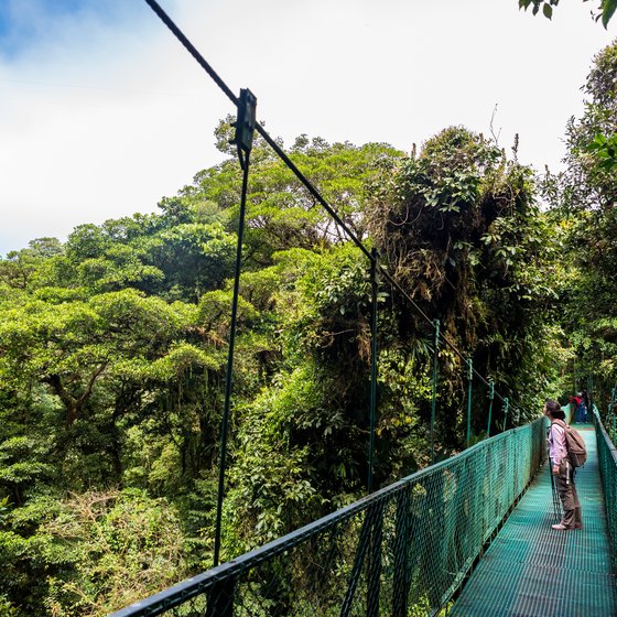Costa Rica Vacations for Singles