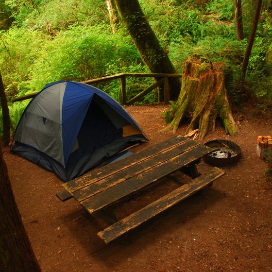 Camping at Redwood National Park