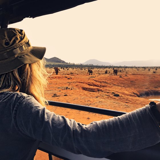 When to Go to Kenya for a Safari