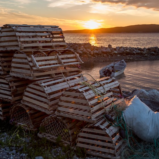 How to Use a Lobster Trap | USA Today